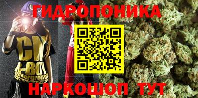 молекула духа Анапа