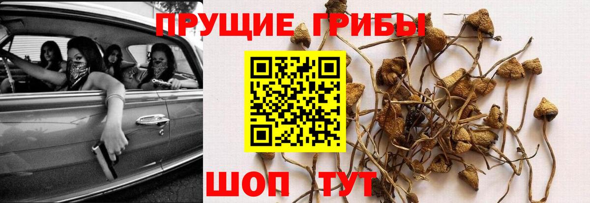 Обнинск  Галлюциногенные грибы MAGIC MUSHROOMS  Вход с VPN 